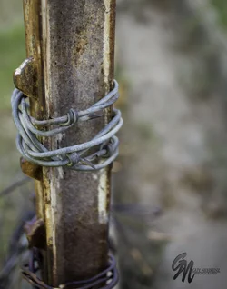 $barbwire6cstamp.webp