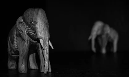 $woodenelephantsbw (1 of 1).webp $woodenelephantsbw (1 of 1).webp
