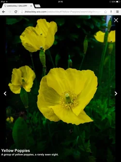 $image-3089243619.webp