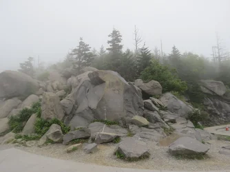 $IMG_0222.webp