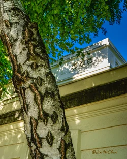 $pc-courthouse1408-12.webp $pc-courthouse1408-12.webp