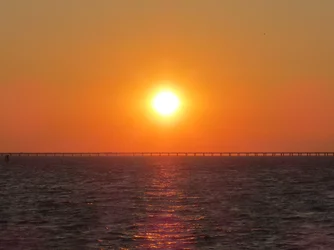 $IMG_0260.webp