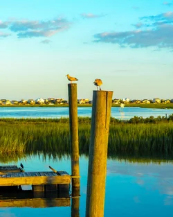 $ducks-1935August 27, 2014untitled shoot-August2014.webp