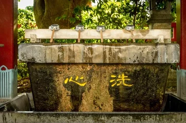 $_DSC0152.webp