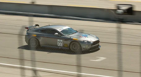 $_MG_3734.webp