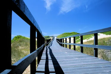 $walkway.webp $walkway.webp