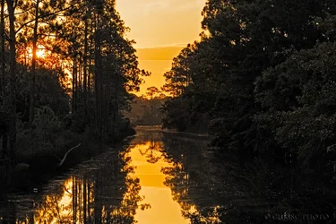 $Sunrise-on-Lynn-Haven-Bayou.webp