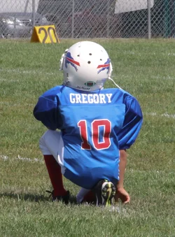 $8.16.14 Bills v Chargers-19.webp