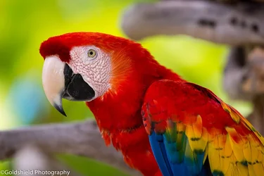 $untitled-7246.webp