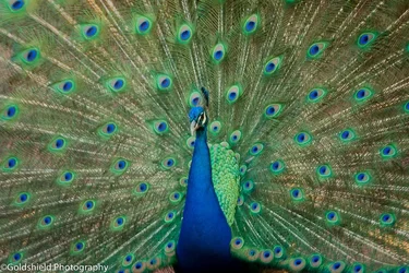 $untitled-7084.webp