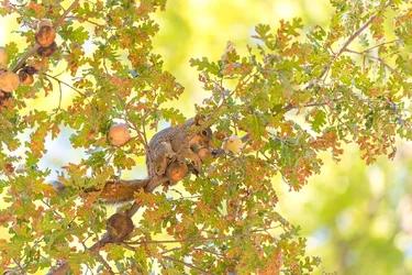 DSC_2952-Small.webp