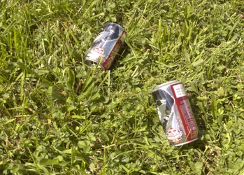 Cans.webp