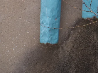 pipes 2 shrunk.webp