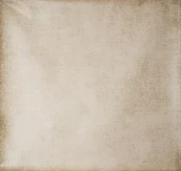 29.webp