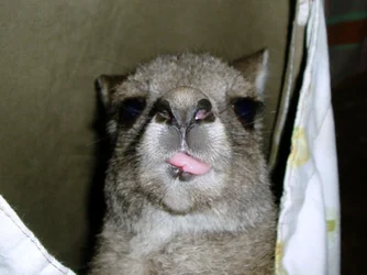 008.webp
