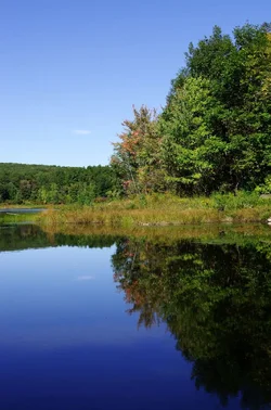rs Pond reflections.webp