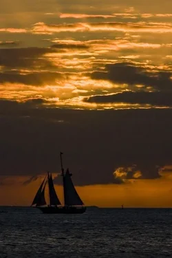 $image-3746961052.webp