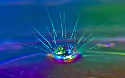 $The Water Drop (1 of 1).webp