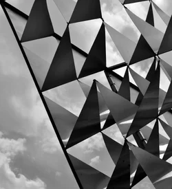$DSC_0230-3.webp