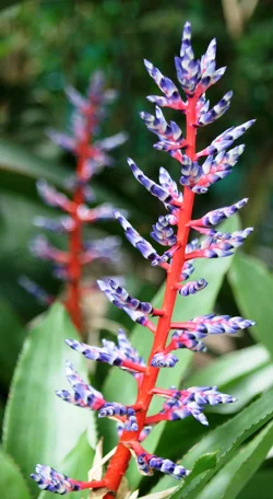 $IMG_3529.webp