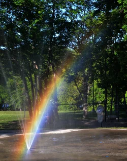 $rainbow.webp