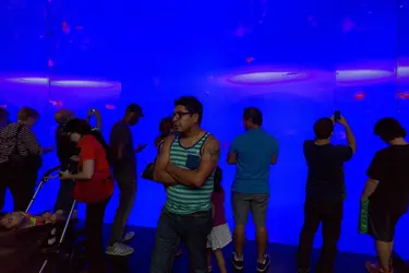 2014-09-28_15-32-46_322C1044.webp 2014-09-28_15-32-46_322C1044.webp
