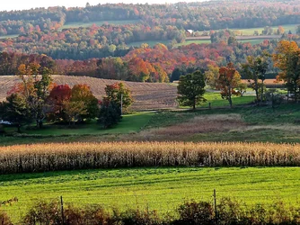 Harvesttime.webp
