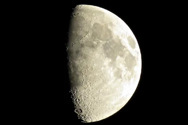 Half Moon.webp