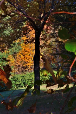 DSC_4271.webp