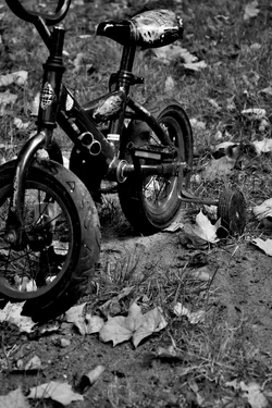 DSC_4434.webp