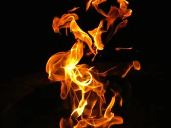 Fire.webp