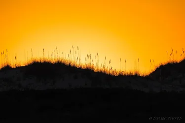 Nature's-Way-of-Dimming-the-Lights.webp