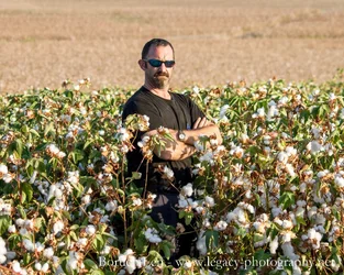 Boruch in cotton field - serious - cropped background.webp