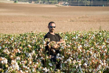 Boruch in cotton field - serious - full background.webp