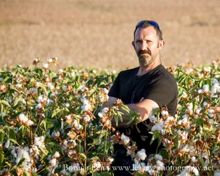 Boruch standing in cotton field - serious.webp