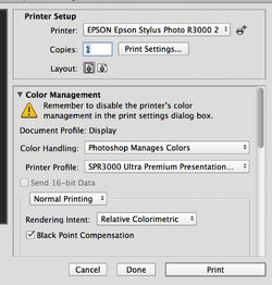 Epson printer settings PM.png