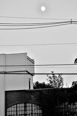 DSC_4565_3380.webp