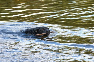DSC_4925_3423.webp