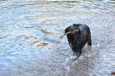 DSC_4931_3425.webp