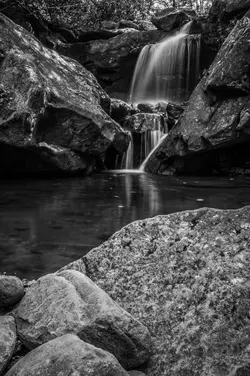 Grotto Falls Portrait B&W.webp