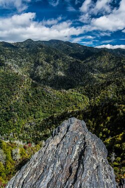 Mt. LeConte Portrait.jpg