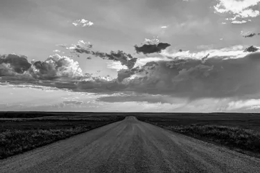The Storm's Path B&W.webp