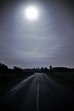 moonroad.webp