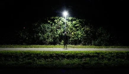 ghost.webp