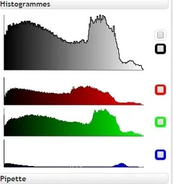 diagram.webp