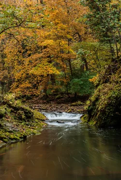 Fall Falls Portrait #2.webp