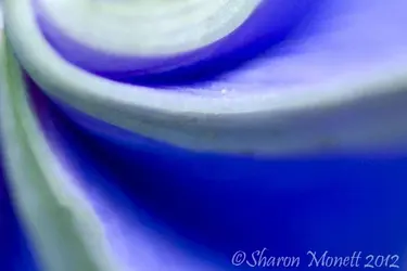 DSC_0060abstractedit_web.webp