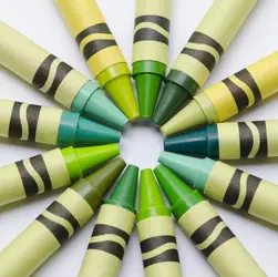 crayolagreenweb.webp