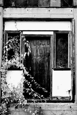 DSC_5632.webp