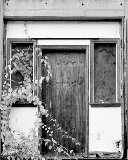 DSC_5632_01.webp